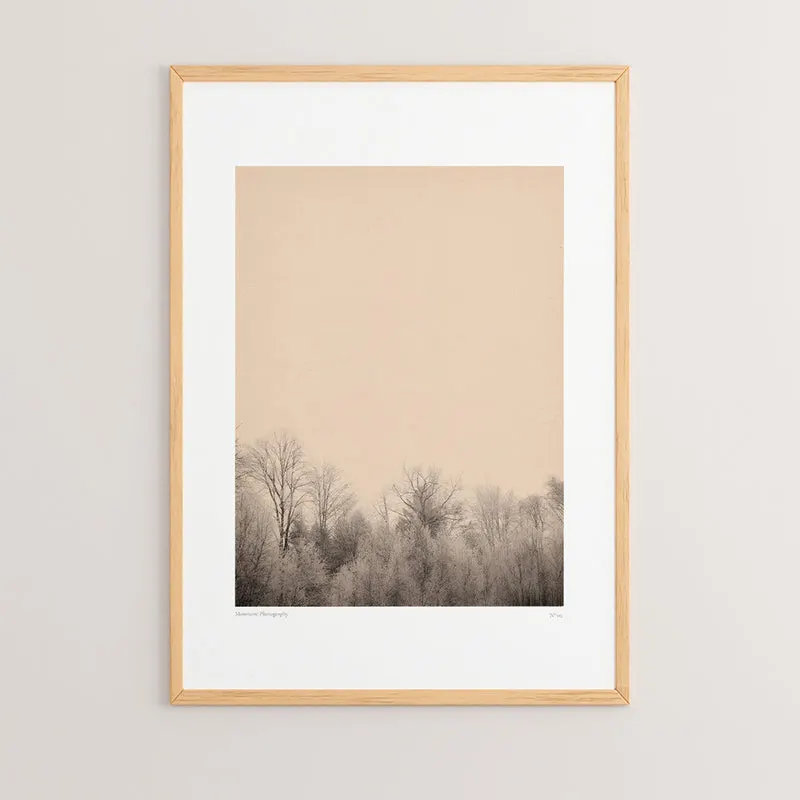 Tablou Quany, Multicolor, 33x48 cm - Multicolor