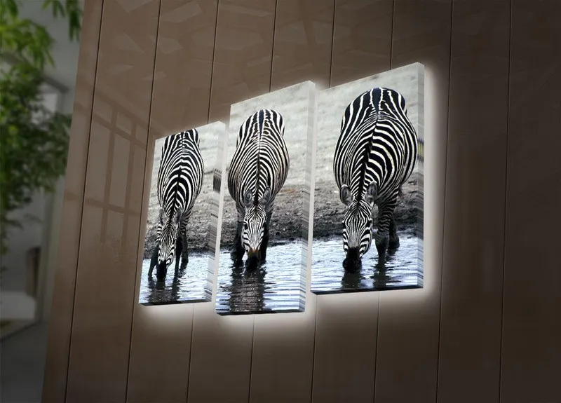 Tablou Canvas cu Led Zebra, Multicolor, 66 x 45 cm - Multicolor