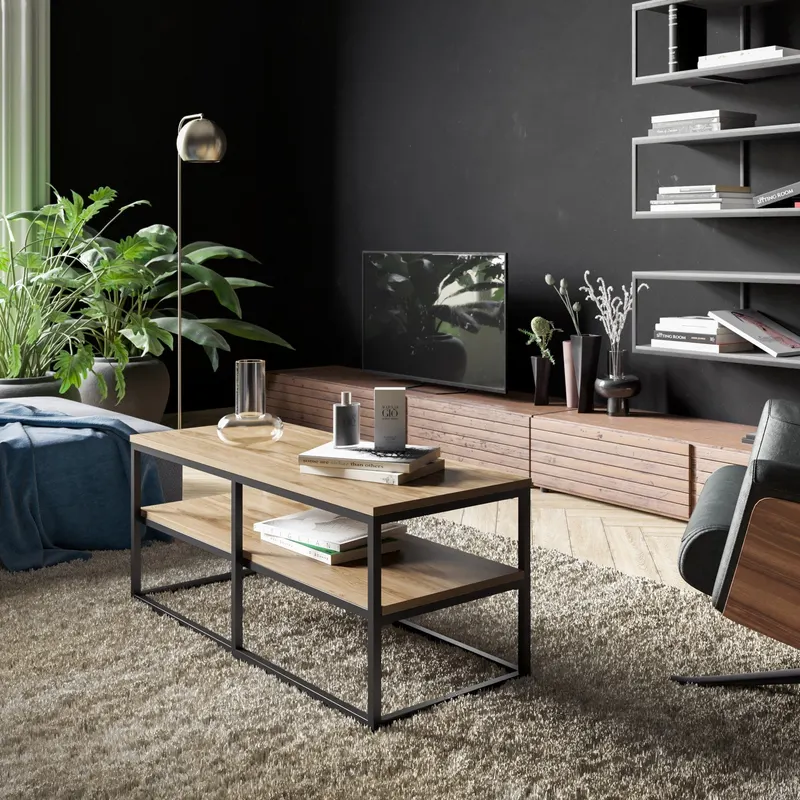 Mobilier Forteaus 110x52 - arsiv7
