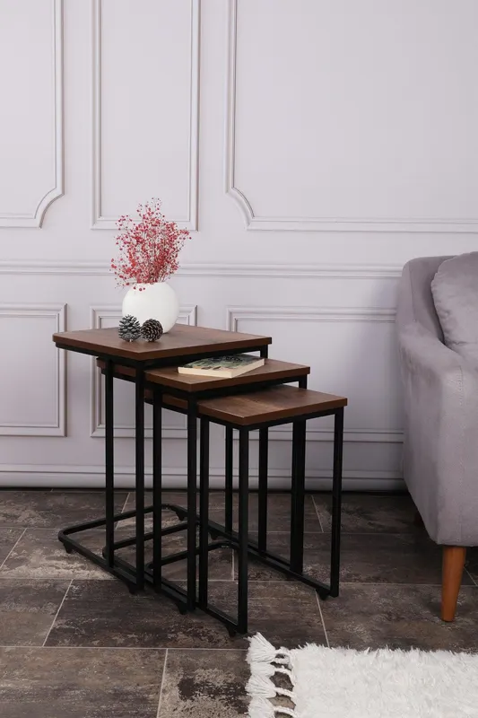 MASUTA DE CAFEA Ce Metal Zigo Table, Nuc, 46x49x41 cm - arsiv3