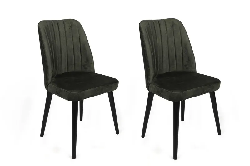 Set scaune (2 bucăți) Alfa Chair Set (2 Pieces), Kaki, 50x90x49 cm - Kaki Negru