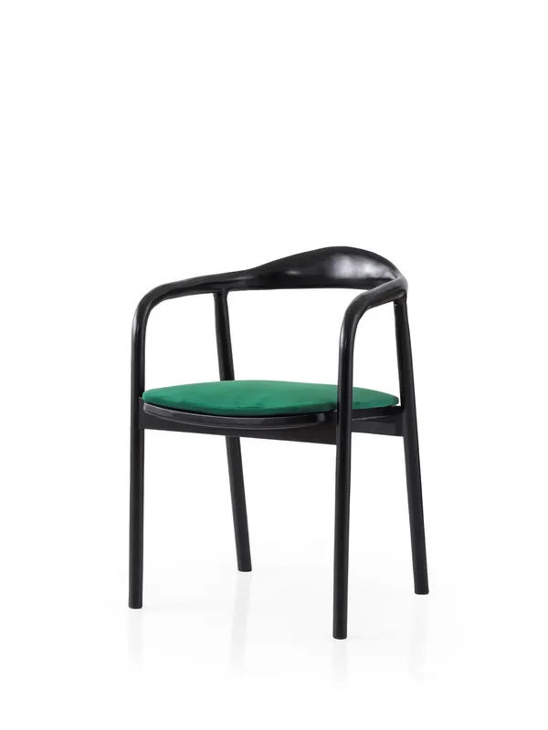 Scaun Palm - 032, Negru - Verde, 52x51x77 cm - Negru - Verde