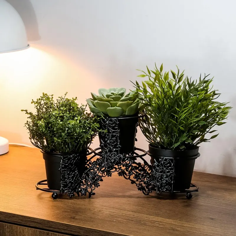 Jardiniere, Negru, 10x15x30 cm - Negru