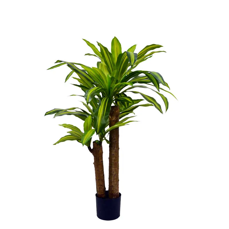 Planta decorativa Dracaenaghiveci, verde, H110cm - Negru