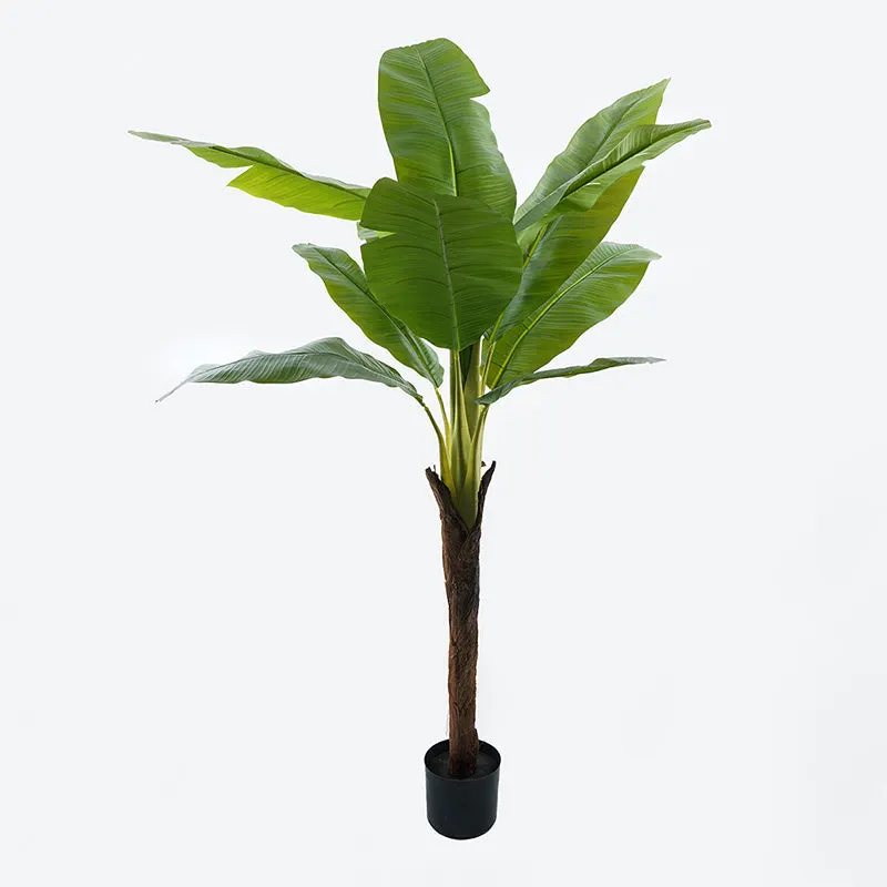 Plantă decorativă cu ghiveci Musa, Plastic, Negru, 105x180 cm - Negru