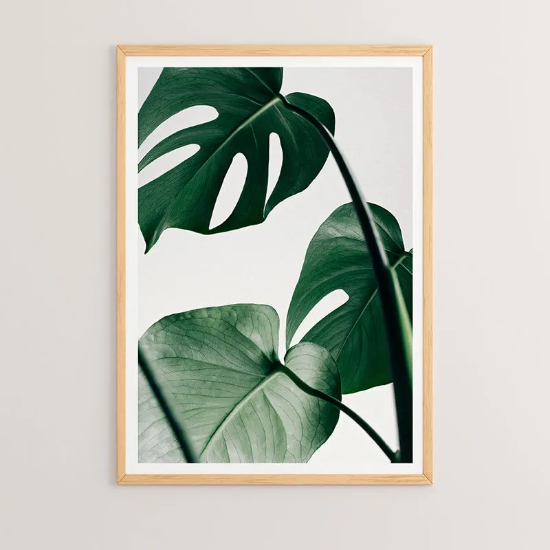 Tablou Leafy, Lemn, Multicolor, 33x48 cm - Multicolor