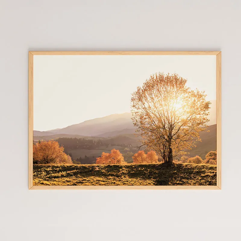 Tablou Vila, Multicolor, 48x33 cm - Multicolor