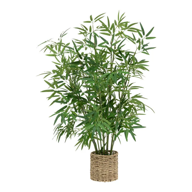 Planta ghiveci Belica, Verde, D45x100 cm - Verde