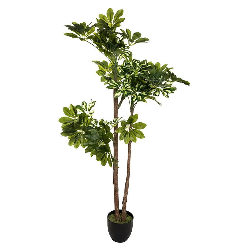 Planta artificiala ghiveci Verde 6, Negru/Verde, 70x65x135 cm - Negru