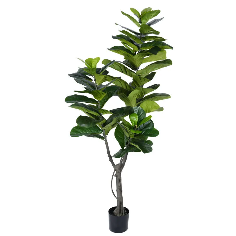 Planta decorativa Fiddlehead Ighiveci, verde, H180cm - Negru