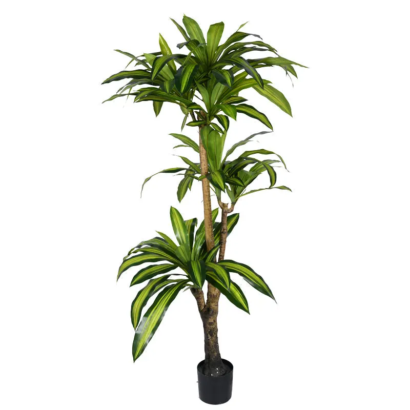 Planta decorativa Dracaena Ighiveci, verde, H170cm - Negru