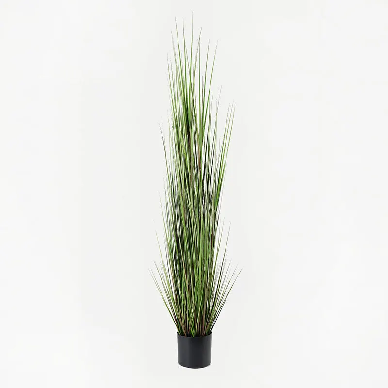 Plantă decorativă cu funcție de ornament Boxwood, Sintetic, Negru, 46x150 cm - Negru
