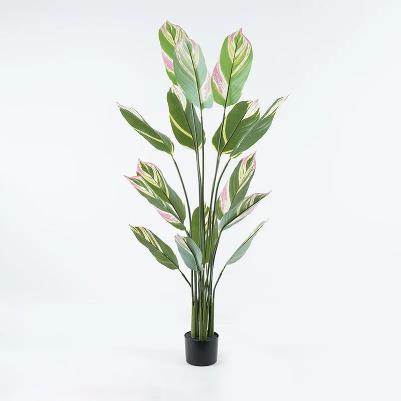 Planta decorativă în ghiveci Aglaonema, plastic, verde, 80x150 cm - Verde