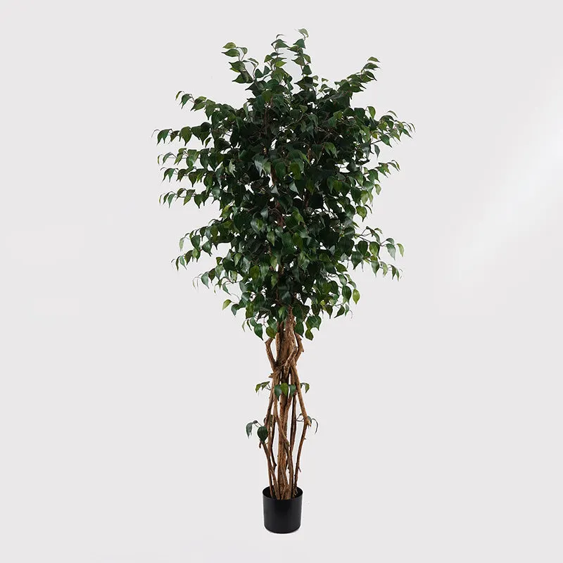 Planta decorativă cu ghiveci Banyan, Sintetic, Verde, 95x180 cm - Verde