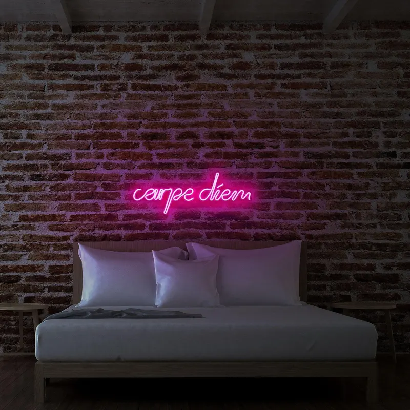 Aplica de Perete Neon Carpe Diem - Roz