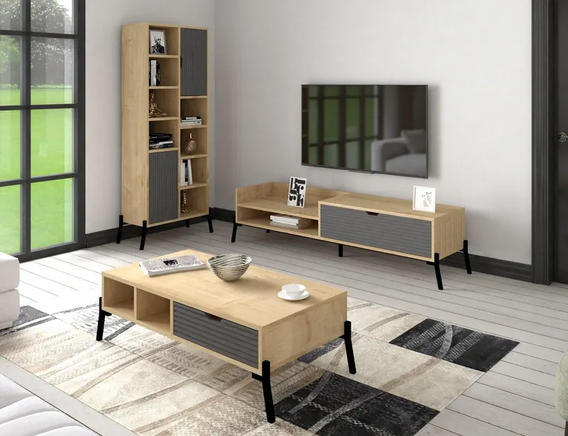 Set Mobila Sufragerie Dartanyan, 3 piese , Comoda Tv - Biblioteca - Masuta de Cafea - arsiv5