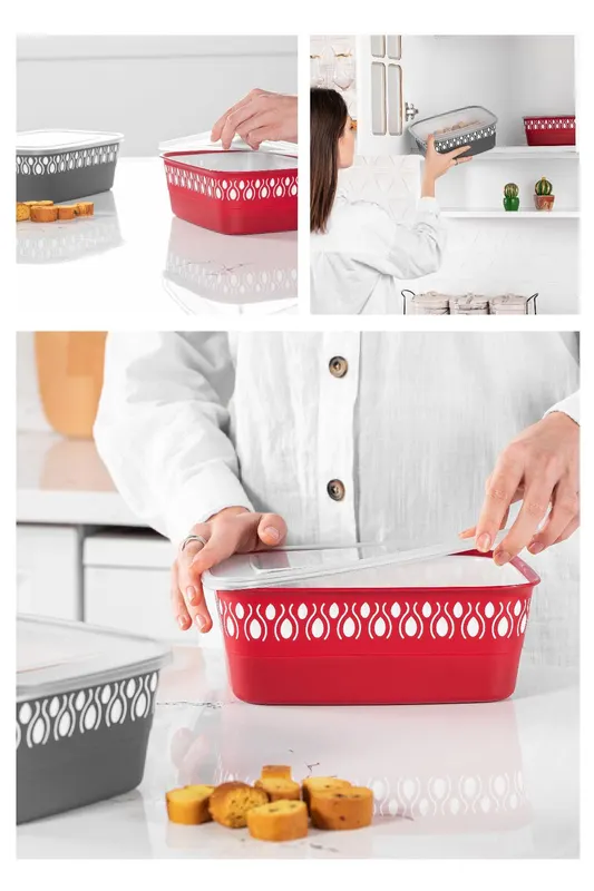 Set recipiente pentru depozitare 2 bucăți BNM-0797, Diverse culori, 20x26x9 cm - Roșu