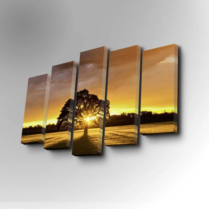 Tablou canvas 5 bucăți 5PUC-004, Multicolor, 82x50x3 cm - Multicolor