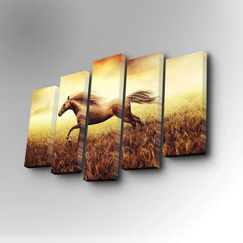 Tablou canvas 5 bucăți 5PUC-013, Multicolor, 82x50x3 cm - Multicolor