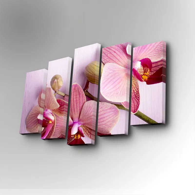 Tablou canvas 5 bucăți 5PUC-066, Multicolor, 82x50x3 cm - Multicolor