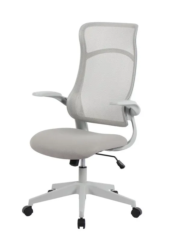 Scaun de birou ZOLDER - Grey