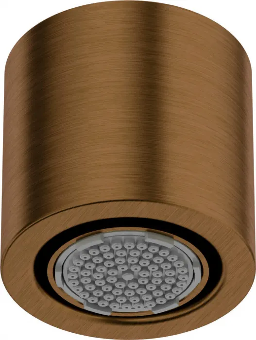 Palarie dus rotunda, fixa, O 42 mm, bronz, Deante Silia