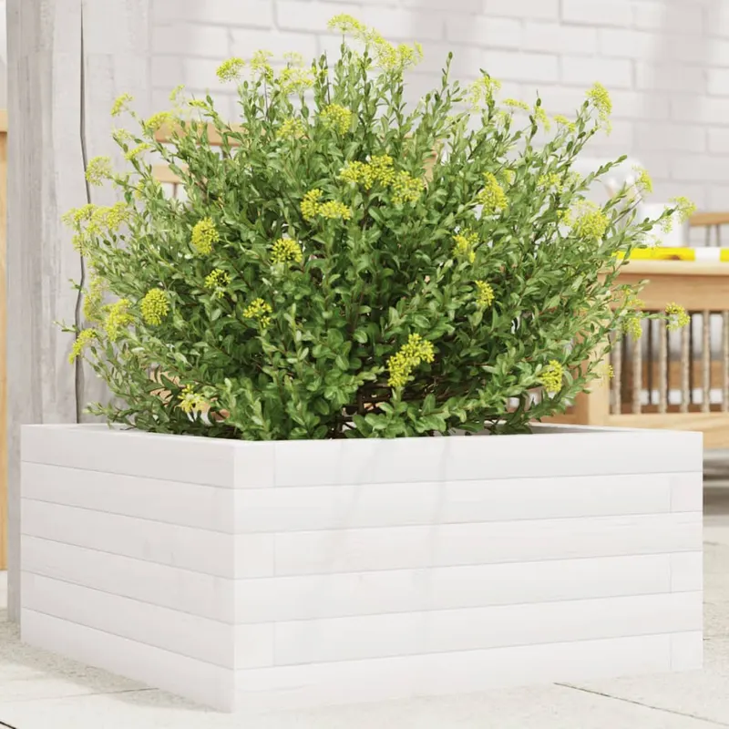 jardiniera de gradina, alb, 50x50x23 cm, lemn masiv de pin