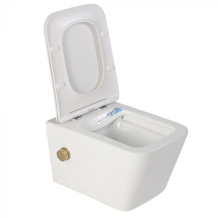 Vas wc suspendat cu functie bideu, dreptunghiular, apa calda rece, rimless, baterie auriu mat Safari