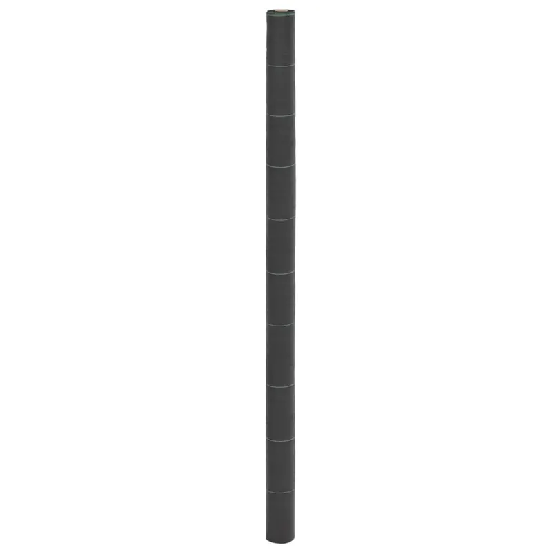 membrana antiburuieni, negru, 2x100 m, pp