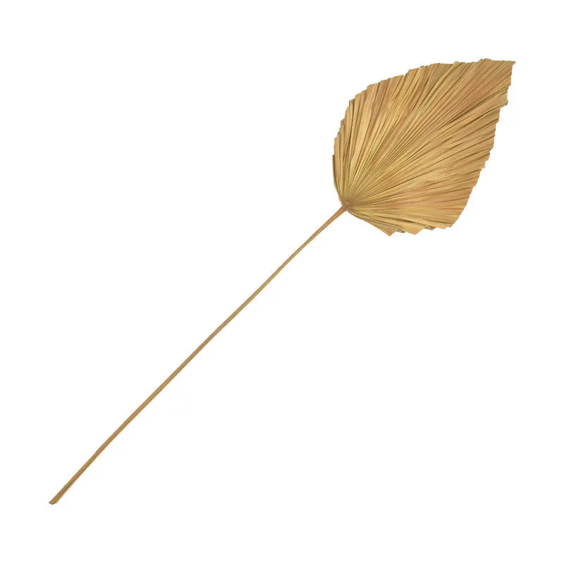 Frunza decorativa Walsy, palmier, H135cm, 42x135 cm - Natur
