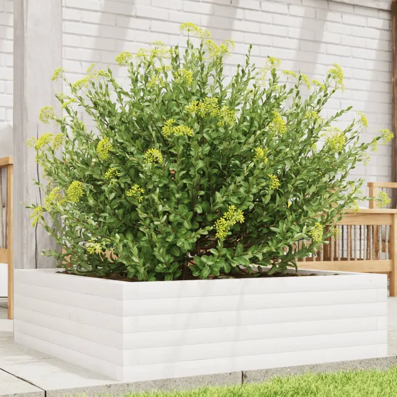 jardiniera de gradina, alb, 80x80x23 cm, lemn masiv de pin