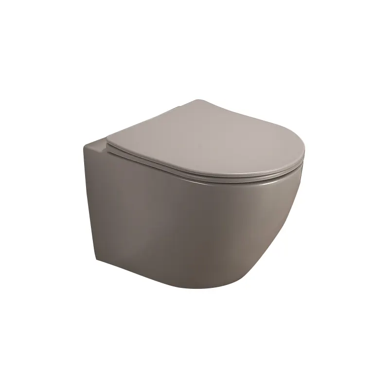 Set vas WC suspendat Fluminia Alfonzo, 53.5x36x36 cm, cu capac quick release si soft close, garantie 2 ani, gri mat