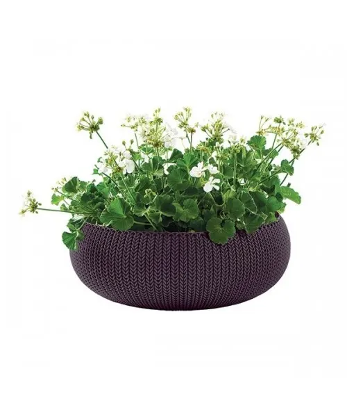 violet
