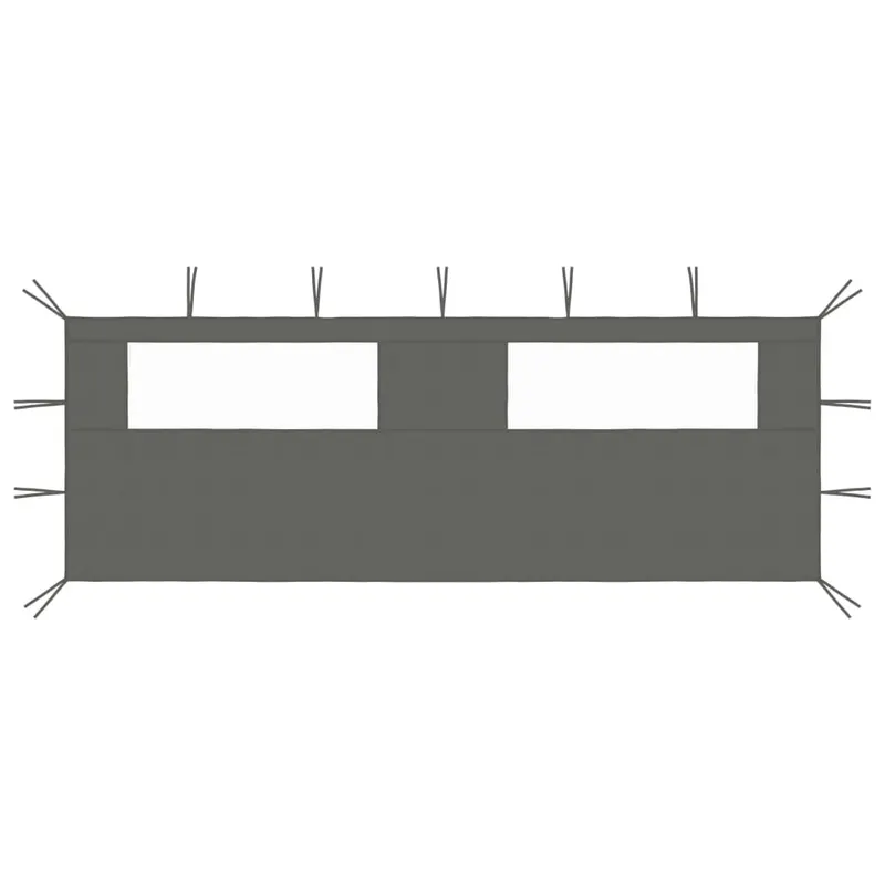 perete lateral foisor cu ferestre, 6x2 m, antracit