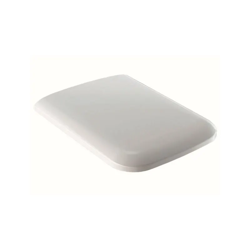 Capac wc soft close Geberit, Icon