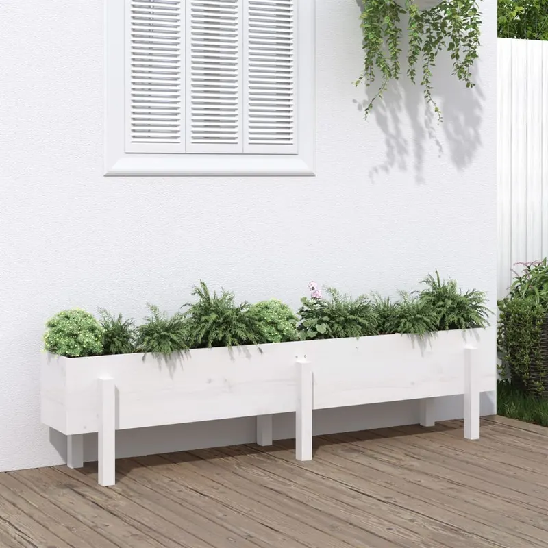 strat inaltat de gradina, alb, 160x30x38 cm, lemn masiv de pin