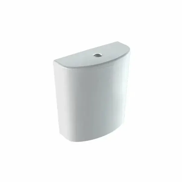 Rezervor pe vas wc Geberit Selnova ceramica cu alimentare laterala