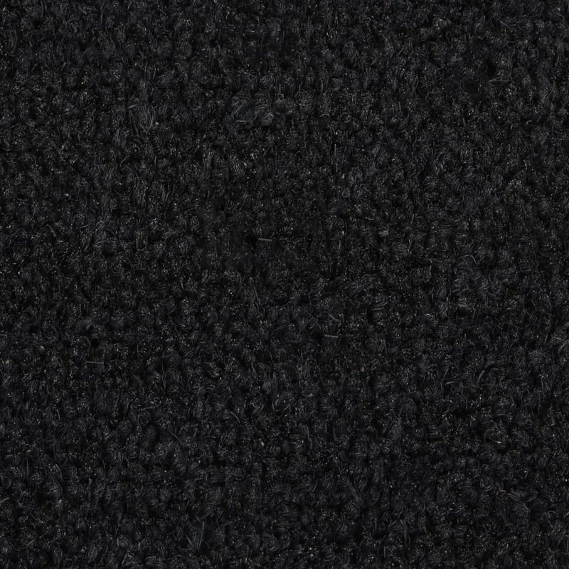 covoras de usa, negru, 50x80 cm, fibre de cocos
