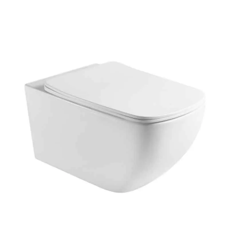 Set vas WC suspendat Fluminia Dino Tornado, Tornado Flush, capac soft close, 37x55.5cm, alb