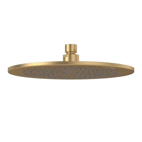 Palarie de dus rotunda VilleroyBoch Universal 25 cm auriu periat 1 functie