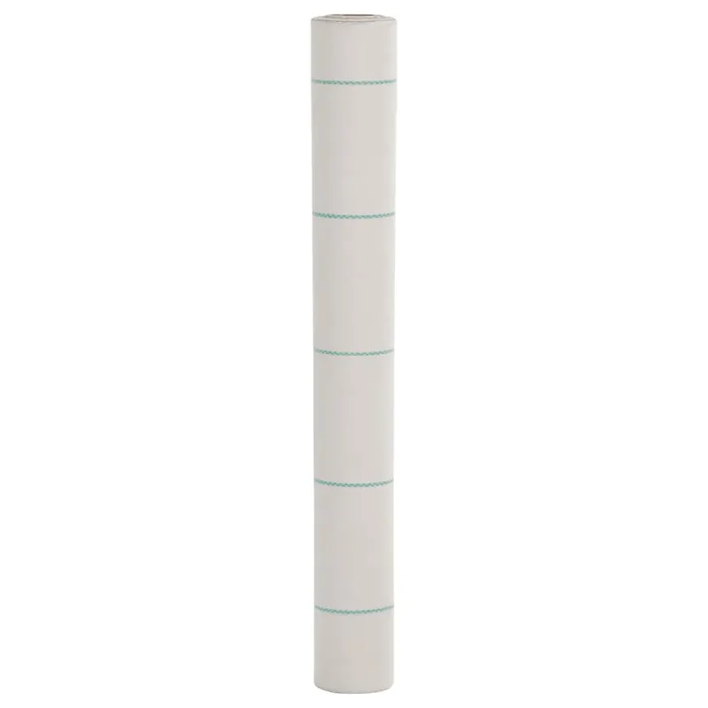 membrana antiburuieni, alb, 1x150 m, pp
