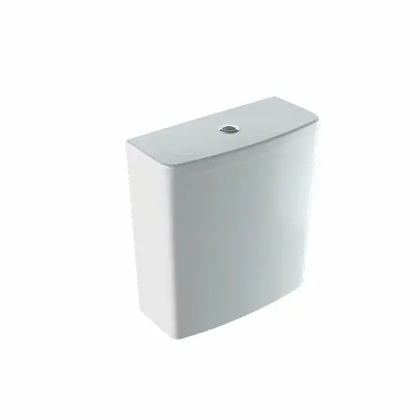 Rezervor pe vas wc Geberit Selnova Square cu alimentare laterala pentru Rimfree